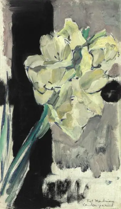 Gladiolus Piet Mondrian